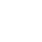 Dolphin Discovery